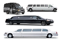 Our selsection of Prom Limos